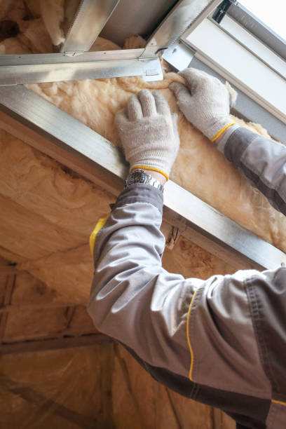 Best Crawl Space Insulation  in Prieville, NC