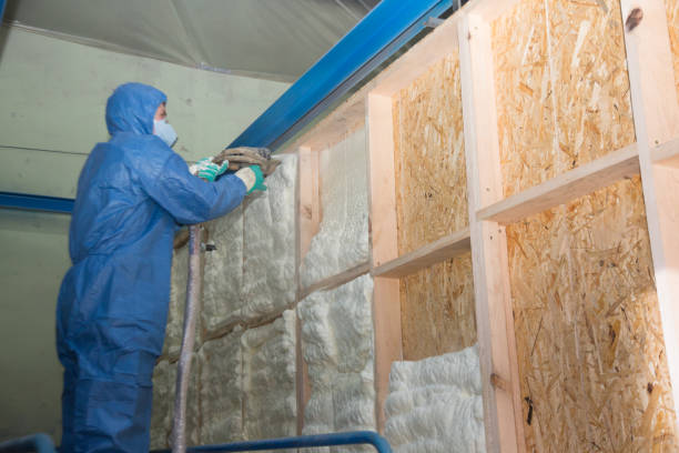 Best Attic Insulation Installation  in Prieville, NC