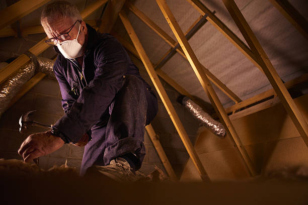 Best Commercial Insulation Contractor  in Prieville, NC