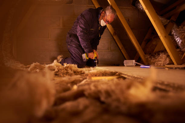 Best Energy-efficient Insulation  in Prieville, NC