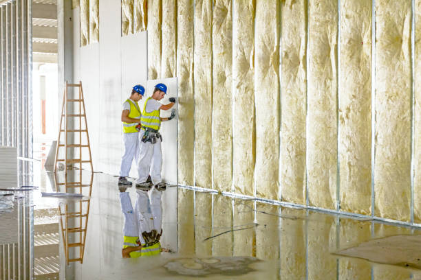 Trusted Princeville, NC Insulation Contractor Experts